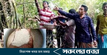 দিনাজপুরে বাঁশের ফুল থেকে চাল, হচ্ছে ভাত-পোলাও