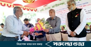 দাউদকান্দির হাটখোলা উচ্চ বিদ্যালয় মাঠে বৃক্ষ মেলা অনুষ্ঠিত